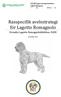 Rasspecifik avelsstrategi för Lagotto Romagnolo