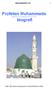 Profeten Muhammeds (Må Guds frid och välsignelser vara över honom) biografi