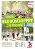 BLODOMLOPPET LULEÅ 12 JUNI 2012. www.blodomloppet.se