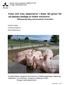 Fytas och rena aminosyror i foder till grisar för att minska utsläpp av fosfor och kväve - Tillämpning idag och potential i framtiden