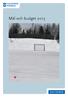 Budget 2013 samt investeringsbudget/-plan 2013-2017