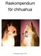 Raskompendium för chihuahua