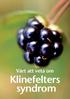 Klinefelters syndrom