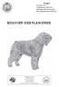 BOUVIER DES FLANDRES