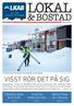 FÖRMEDLARNA BLIR FLER BERGSTRÖM NY I KIRUNA POSITIVA HYRESGÄSTER. Nr 1 2014 En tidning för våra hyresgäster. LKAB Fastigheter