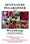 SPÄNNANDE PELARGONER 2006 Wennbergs Handelsträdgård Frideborgsvägen 20, 806 45 Gävle Tel026-18 14 22