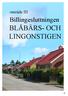 BLÅBÄRS- OCH LINGONSTIGEN