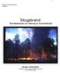 Skogsbrand. Brandbeteende och tolkning av brandriskindex. Anders Granström Institutionen för skoglig vegetationsekologi SLU, 901 83 Umeå