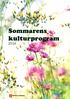 Sommarens kulturprogram