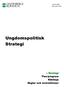 Ungdomspolitisk Strategi Strategi Plan/program Riktlinje Regler och instruktioner