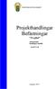 Projekthandlingar Befästningar ProjBef