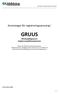 Anvisningar för registreringsansvarig i GRUUS. GöteborgsRegionens UngdomsUppföljningsSystem