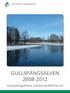 GULLSPÅNGSÄLVEN 2008-2012