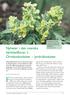 För fyra år sedan utkom i SBT en förteckning. Nyheter i den svenska kärlväxtfloran 1. Ormbunksväxter jordröksväxter