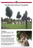 Skyddsvärda träd på kyrkogårdar