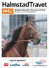 HalmstadTravet. Dags för Raja Mirchi? Måndag 9 december Första start kl 18.20. Pris 20 kr (inkl. moms) Nr 39, 2013, Bankod 18. www.halmstadtravet.