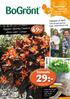 29:- 69:- Snöoxalis. Begonia Glowing Embers. Inspiration. Hemodlat är bäst! Odla din egen sparris, majs, kronärtskocka mm. Årets nyhet i Europa!