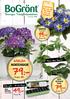 79:- 49:- 19:- 79:- HORTENSIOR HÄRLIGA. Sveriges Trädgårdsmästare. JORDVIVA Primula vulgaris HOYA AUSTRALIS RUND. Flera olika former!