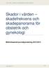 Skador i vården skadefrekvens och skadepanorama för obstetrik och gynekologi