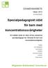 Specialpedagogiskt stöd för barn med koncentrationssvårigheter