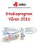 BRANSCHORGANISATION VÄG OCH BAN. Studieprogram Våren 2016