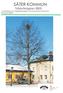 Trädvårdsplan 2005 SÄTER KOMMUN. Inventering och åtgärdsprogram för kommunens träd inom tätortsområdet