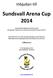 Sundsvall Arena Cup 2014