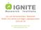 Läs- och skrivutvecklare: Skolverket Rollen, bra samtal och frågor, utgångspunkter 2015-05-19. ann.pihlgren@igniteresearch.org www.igniteresearch.