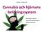 Cannabis och hjärnans belöningssystem