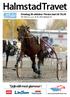 HalmstadTravet. Tjejkväll med glamour! Onsdag 30 oktober Första start kl 18.30. Pris 20 kr (inkl. moms) Nr 33, 2013, Bankod 18. www.halmstadtravet.