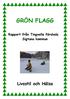 GRÖN FLAGG. Rapport från Tingvalla förskola Sigtuna kommun. Livsstil och Hälsa