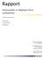 Rapport. Nyttoaspekter av tillgången till en språkdatabas. Daniel Persson. Lars Johannesson. Filip Bonnevier. Stockholm, september 2009