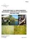Undersökningar av vattenvegetation, lekområden, bottenfauna och sediment i Edsviken 2006