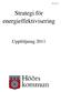 2012-05-23 Strategi fö ör energieffektivisering Uppföljning 2011