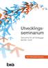 Utvecklingsseminarium