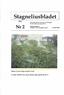 Sta~eliusbladet. Nr2. En tidig höstbild som Janene Brandt tagit utanror Hg 49-51. Medan vi sover skapa spindlar konst!