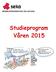 BRANSCHORGANISATION VÄG OCH BAN. Studieprogram Våren 2015