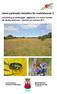 Urban parkmarks betydelse för insektsfaunan 2: Inventering av skalbaggar, dagfjärilar och andra insekter på sandig parkmark i Veberöd och Genarp 2011