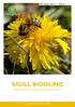 SIGILL BIODLING. Certifieringssystem för kvalitetssäkrad produktion av honung. Livsmedelssäkerhet Djuromsorg Miljö