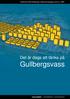 Fallstudie 2006 Göteborgs miljövetenskapliga centrum, GMV. Det är dags att tänka på Gullbergsvass