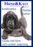 Nummer 1 2014. hund&katt. Tidskriften för veterinärmedicin och smådjurskunskap. Nummer 2 2014. Antibiotika. Rädda katter
