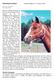 Inlärning hos hästar Tidningen Hästfynd nr 2, 24 februari 2001