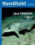 Med TORSKEN i fokus. Forska och torska Fiske i fara Dinoflagellater urgamla och vackra Vad är forskning Hållbart kustfiske Fokus på torsken