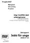 Jobb för unga 2008-07-23. Ung i konflikt med arbetsgivaren Om den unge på arbetsmarknaden. Projekt MUF Mångfald Utveckling Framtid.