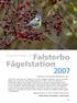 Falsterbo Fågelstation 2007