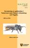 N A T U R. Inventering av gaddsteklar i Naturreservaten Tinnerö eklandskap och Viggeby. - 2009 och 2010. Håkan Andersson 2010:3 I LINKÖPING