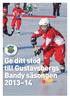 Ge ditt stöd till Gustavsbergs Bandy säsongen 2013 14