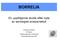 BORRELIA. En uppföljande studie efter byte av serologisk analysmetod. Johanna Karlsson ST-läkare Infektionskliniken Uddevalla Klinisk Mikrobiologi SÄS