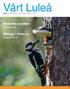 Vårt Luleå. Bostäder, bostäder Sidorna 6-13. Bälinge Årets by Sidorna 16-17. En tidning från Luleå kommun. Nr 2 2016. Vårt Luleå Nr 2 2016