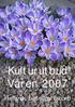 Kulturutbud Våren 2007